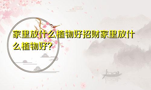 家里放什么植物好招财家里放什么植物好？