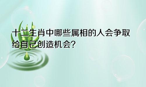 十二生肖中哪些属相的人会争取给自己创造机会？