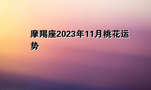 摩羯座2023年11月桃花运势