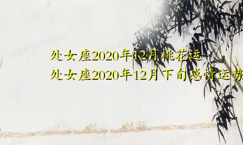 处女座2020年12月桃花运处女座2020年12月下旬感情运势