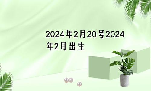 2024年2月20号2024年2月出生