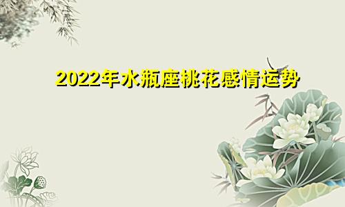 2022年水瓶座桃花感情运势