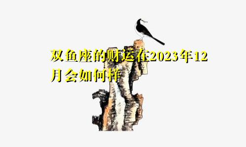 双鱼座的财运在2023年12月会如何样