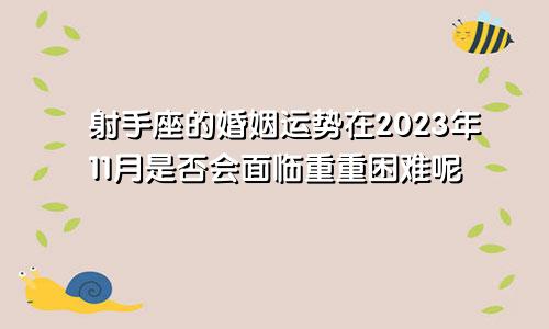 射手座的婚姻运势在2023年11月是否会面临重重困难呢