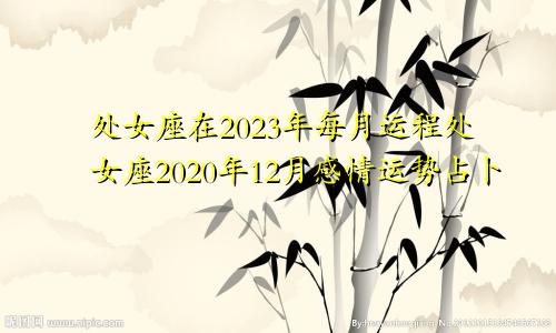 处女座在2023年每月运程处女座2020年12月感情运势占卜