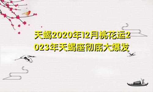 天蝎2020年12月桃花运2023年天蝎座彻底大爆发