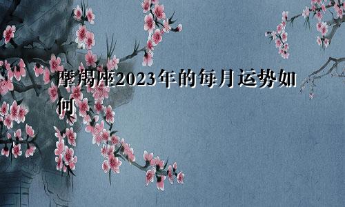 摩羯座2023年的每月运势如何