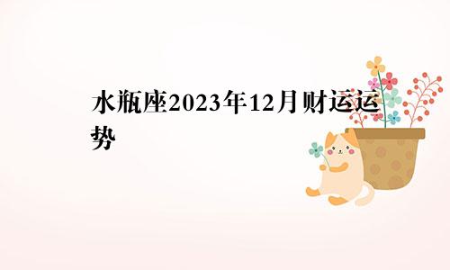 水瓶座2023年12月财运运势