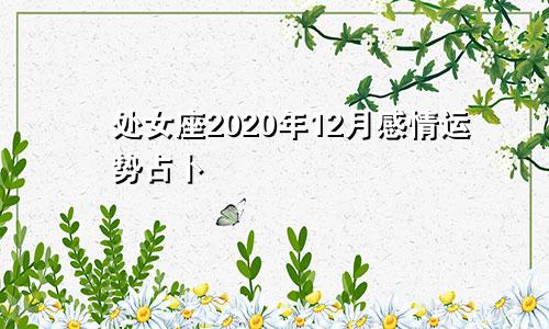 处女座2020年12月感情运势占卜