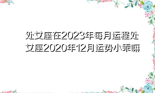 处女座在2023年每月运程处女座2020年12月运势小乖嘛