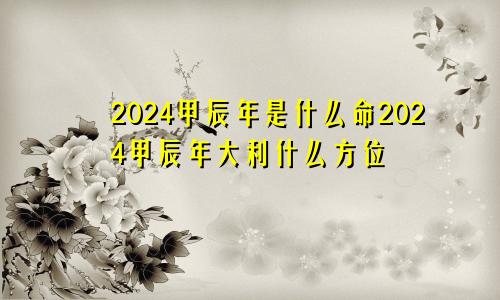 2024甲辰年是什么命2024甲辰年大利什么方位