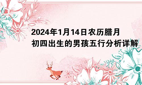 2024年1月14日农历腊月初四出生的男孩五行分析详解