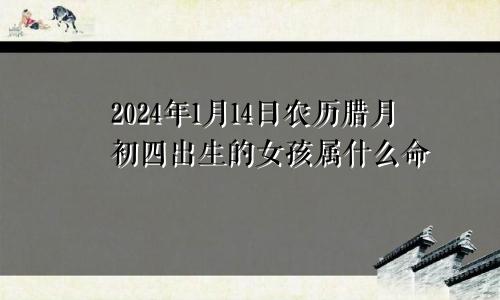 2024年1月14日农历腊月初四出生的女孩属什么命