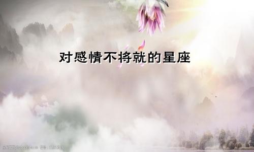 对感情不将就的星座