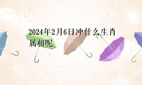 2024年2月6日冲什么生肖属相呢