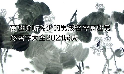 高姓好听稀少的男孩名字高姓男孩名字大全2021属虎