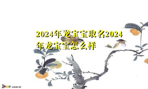 2024年龙宝宝取名2024年龙宝宝怎么样