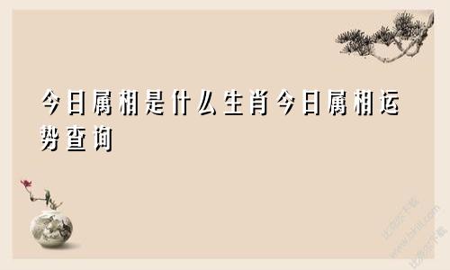 今日属相是什么生肖今日属相运势查询