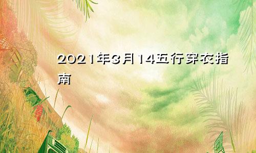 2021年3月14五行穿衣指南