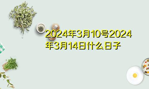 2024年3月10号2024年3月14日什么日子