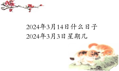 2024年3月14日什么日子2024年3月3日星期几