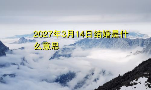 2027年3月14日结婚是什么意思