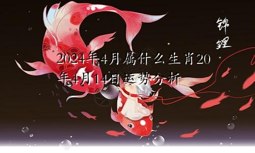 2024年4月属什么生肖20年4月14日运势分析