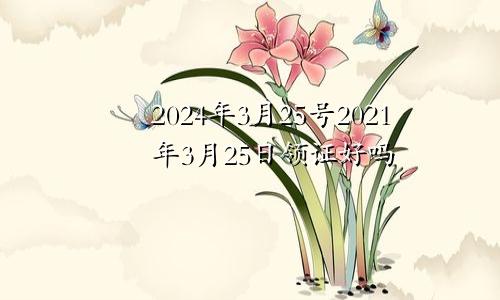 2024年3月25号2021年3月25日领证好吗