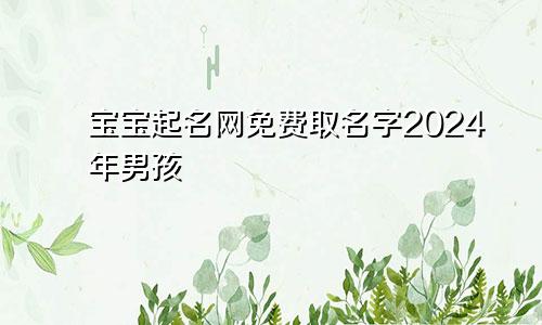 宝宝起名网免费取名字2024年男孩