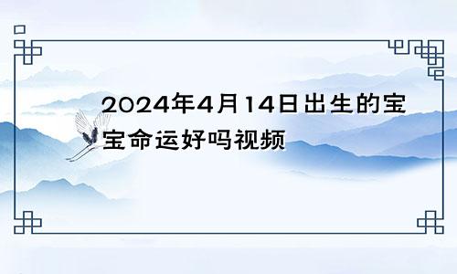 2024年4月14日出生的宝宝命运好吗视频