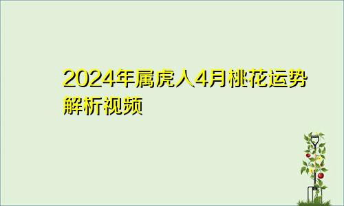 2024年属虎人4月桃花运势解析视频