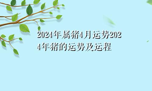 2024年属猪4月运势2024年猪的运势及运程