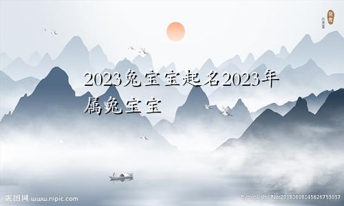 2023兔宝宝起名2023年属兔宝宝