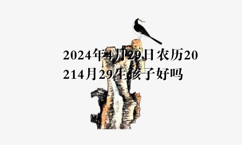 2024年4月29日农历20214月29生孩子好吗