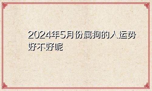 2024年5月份属狗的人运势好不好呢