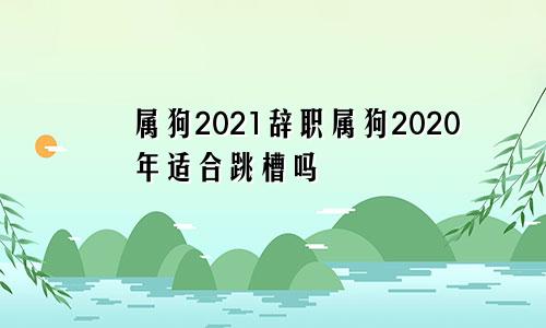 属狗2021辞职属狗2020年适合跳槽吗