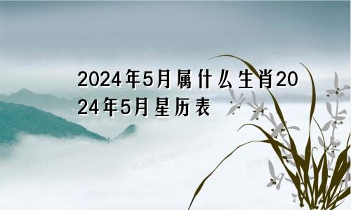 2024年5月属什么生肖2024年5月星历表