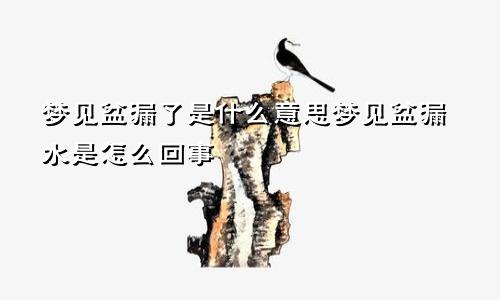 梦见盆漏了是什么意思梦见盆漏水是怎么回事