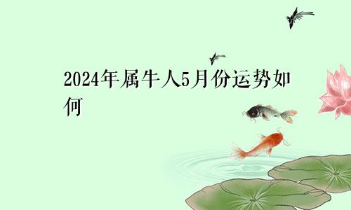 2024年属牛人5月份运势如何