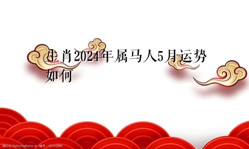 生肖2024年属马人5月运势如何