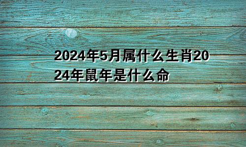 2024年5月属什么生肖2024年鼠年是什么命