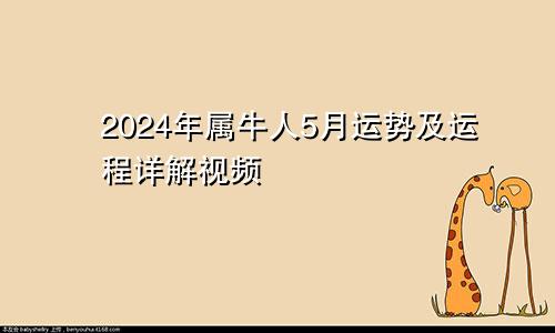 2024年属牛人5月运势及运程详解视频