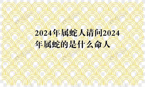 2024年属蛇人请问2024年属蛇的是什么命人