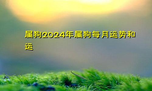 属狗2024年属狗每月运势和运