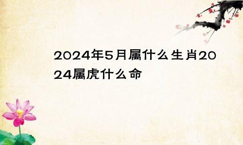 2024年5月属什么生肖2024属虎什么命