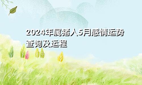 2024年属猪人5月感情运势查询及运程