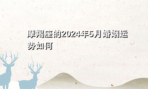 摩羯座的2024年5月婚姻运势如何