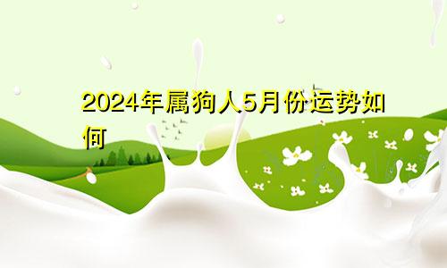 2024年属狗人5月份运势如何