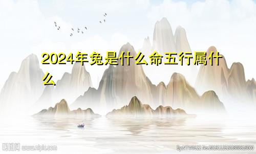 2024年兔是什么命五行属什么