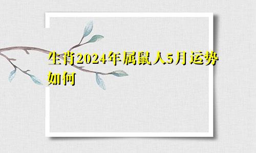 生肖2024年属鼠人5月运势如何